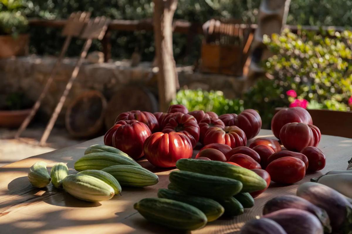 Peskesi Farm serves its certified organic produce in its on-site, farm-to-table restaurant. (Peskesi)