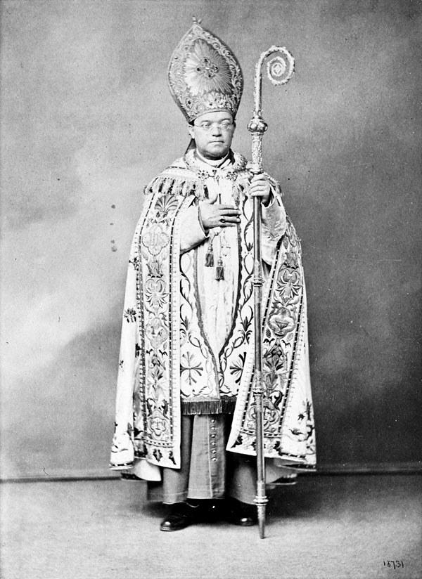 Bishop John Lynch (1816–1888). (Public Domain)