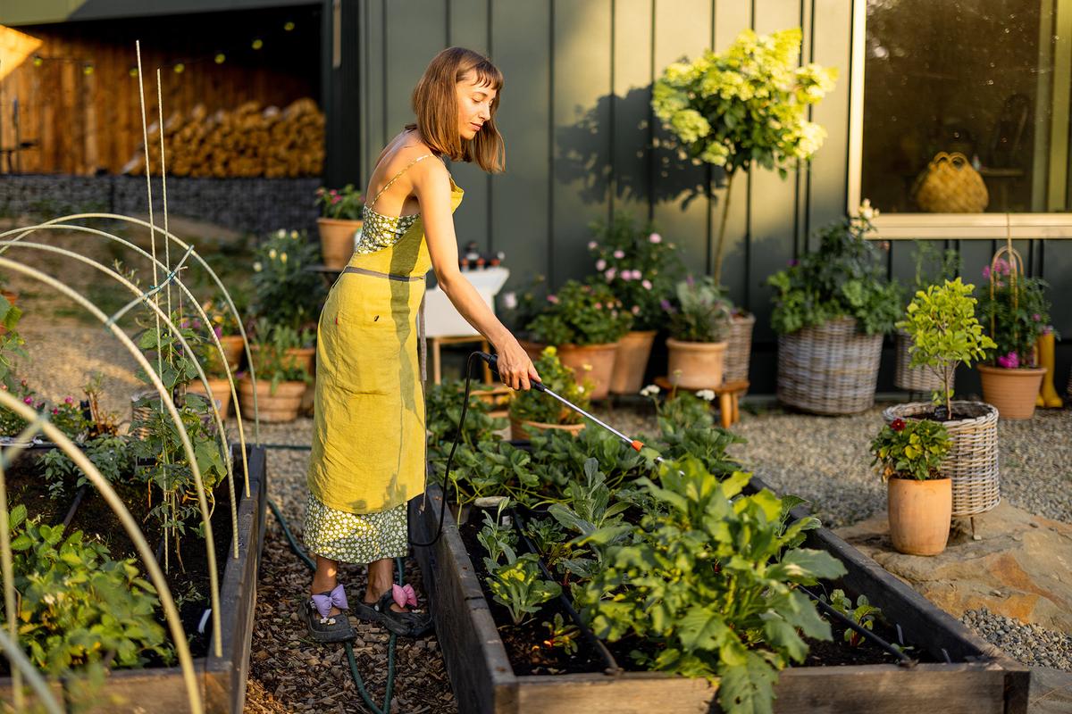 Choosing the right plant varieties and maintaining healthy soil are long-term strategies to prevent pests without relying on chemicals. (RossHelen/Shutterstock)