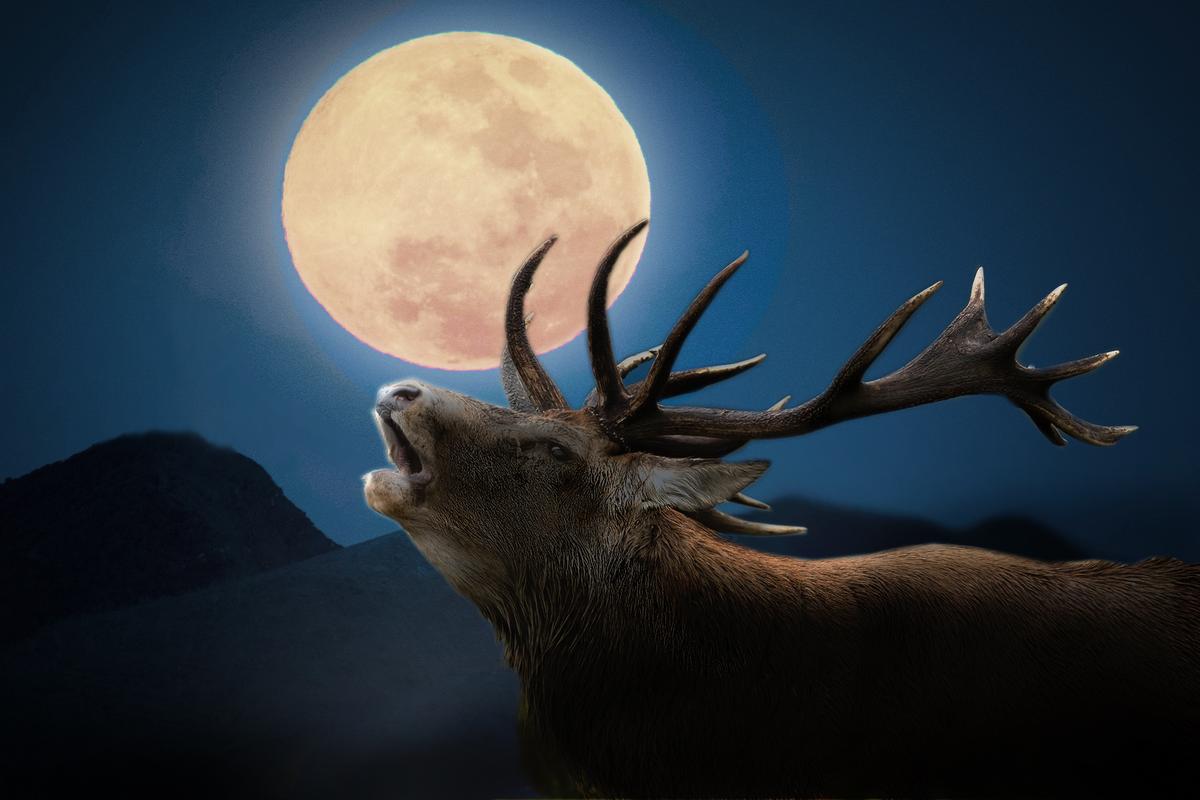 A Rust-Red Full ‘Buck Moon’ Will Occur in Mid-Summer—But What Does It Mean?
