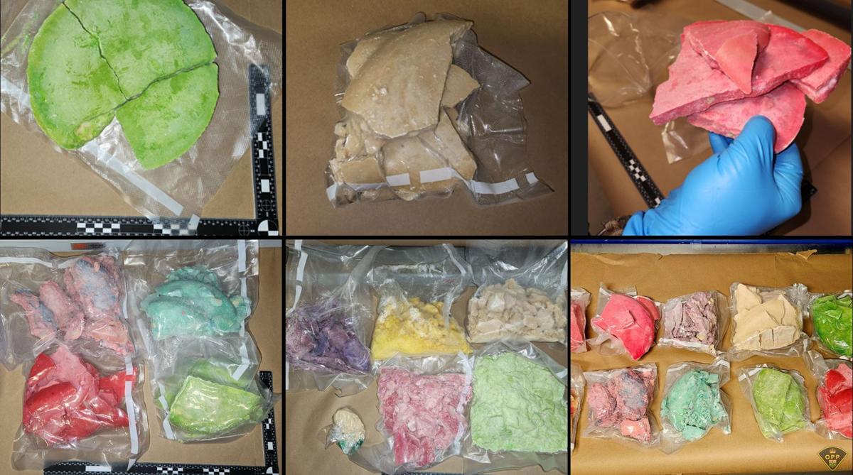 Ontario Police Unveil Record Fentanyl Bust, Takedown of Dark Web Drug Operation 
