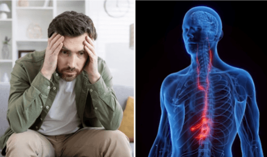 Meet Pulsetto, a next-generation vagus nerve stimulator
