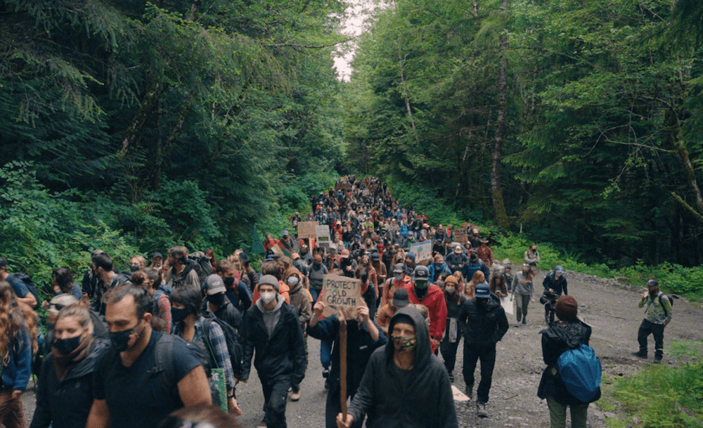 Crowds of protesters and blockaders arriving in "Fairy Creek." (Understory Films)