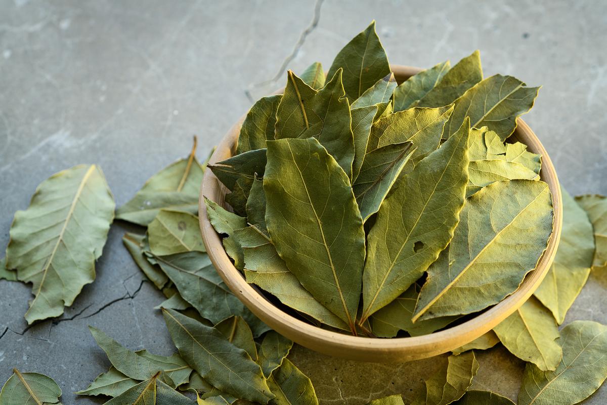 Bay leaves are a natural insecticide that can double as a decor piece. (ImpressionMall/Shutterstock)
