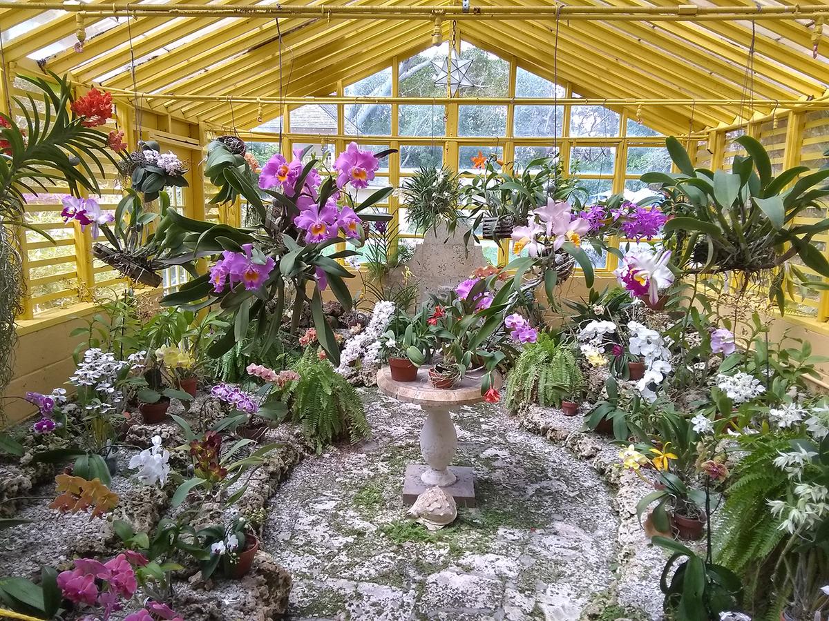 Built in 1938, the orchid greenhouse displays not only live orchids, but also a collection of shells. Many of the species of orchids inside the structure, which complements the main house, were grown and managed by the Bartletts when they lived in the home. (Courtesy of Bonnet House)