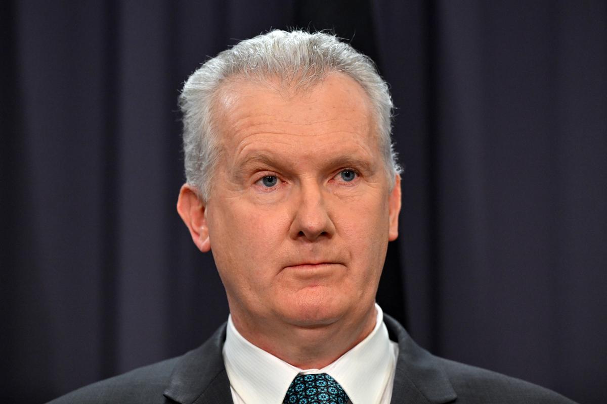 Tony Burke Held ‘Secret’ Meetings on Return of ISIS-Linked Australians