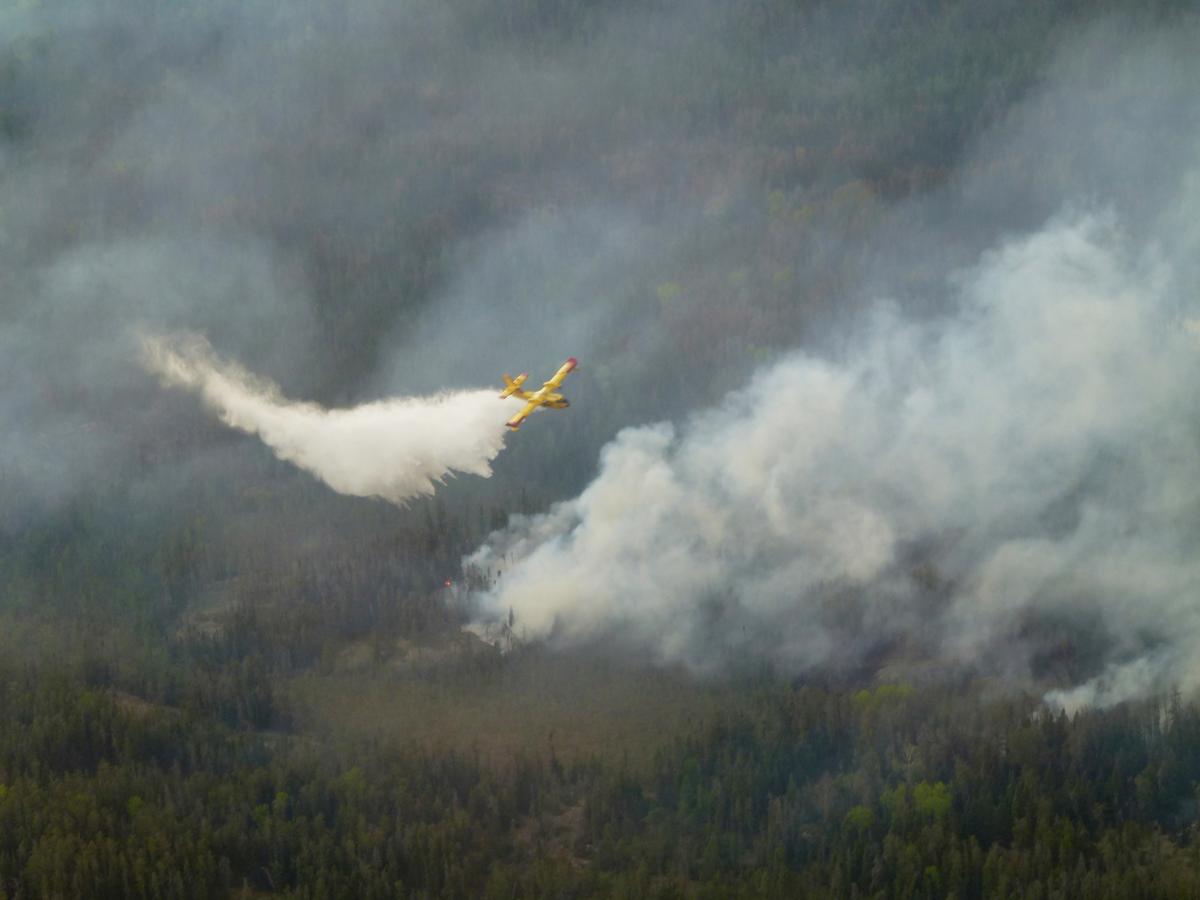 US Congressmen Call on Canada to Improve Forest Management as States Affected by Wildfire Smoke