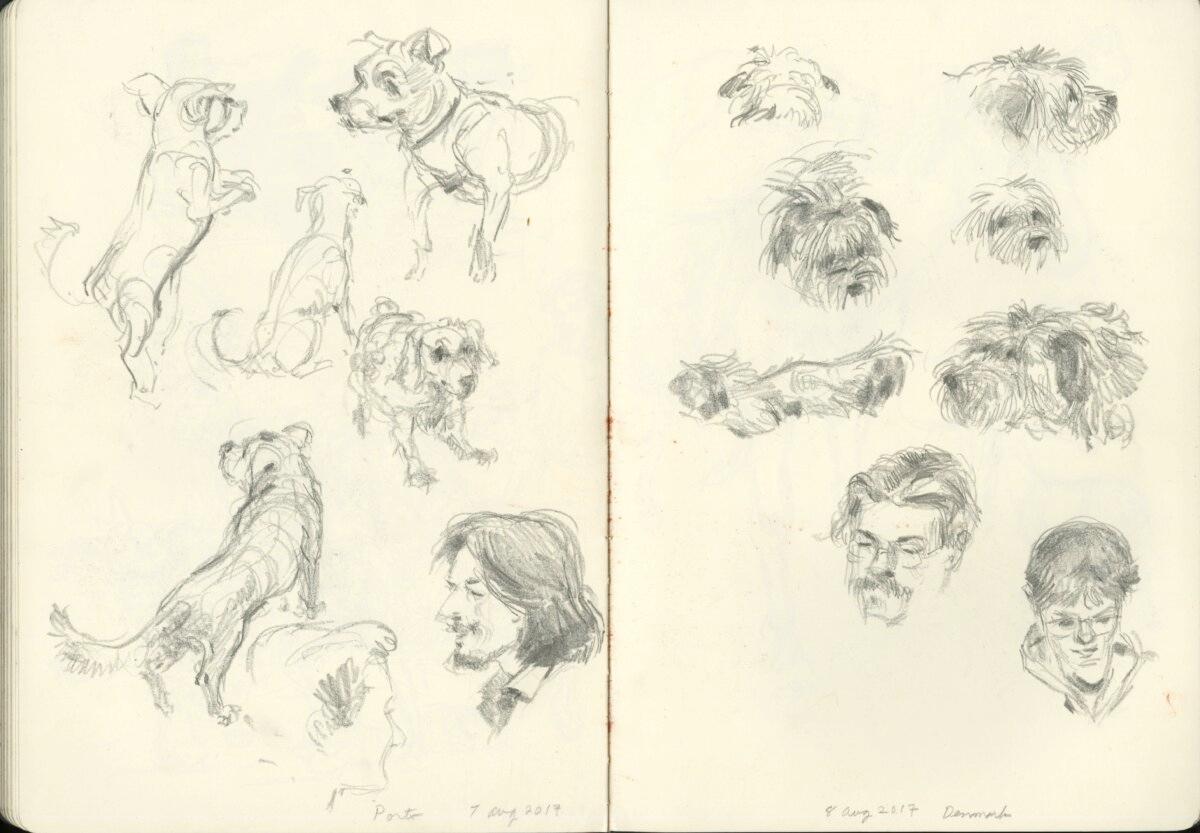 Glenn Vilppu’s sketchbook shows pencil drawings of human heads and animals highlighting the Vilppu Academy’s Head Drawing Course and Animal Drawing Course. Both online drawing courses start by teaching figurative gesture, then construction, and expression—all key concepts to animating drawings. (Courtesy of Vilppu Academy)