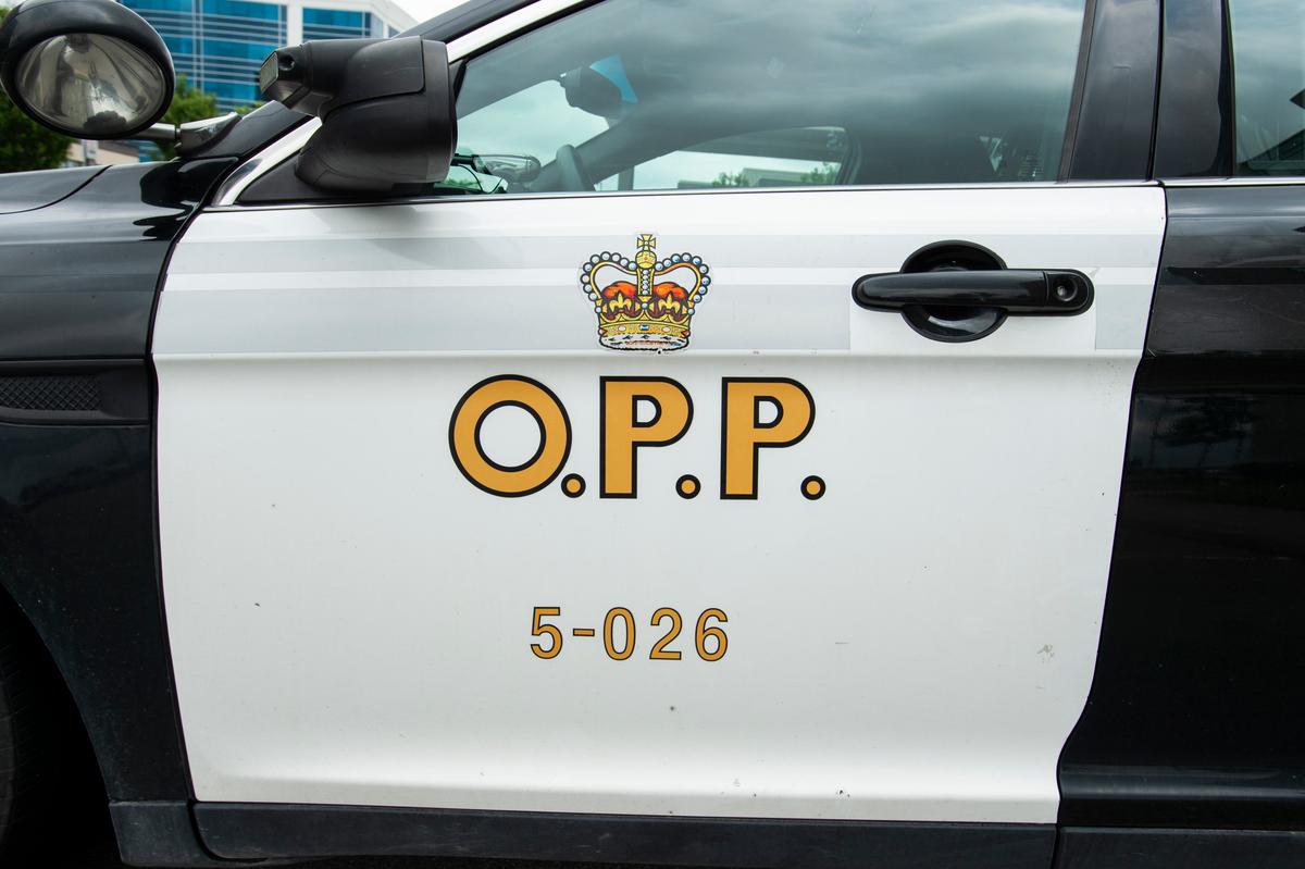 OPP Seize More Than $8 Million in Illegal Cannabis Products in Months-Long Investigation
