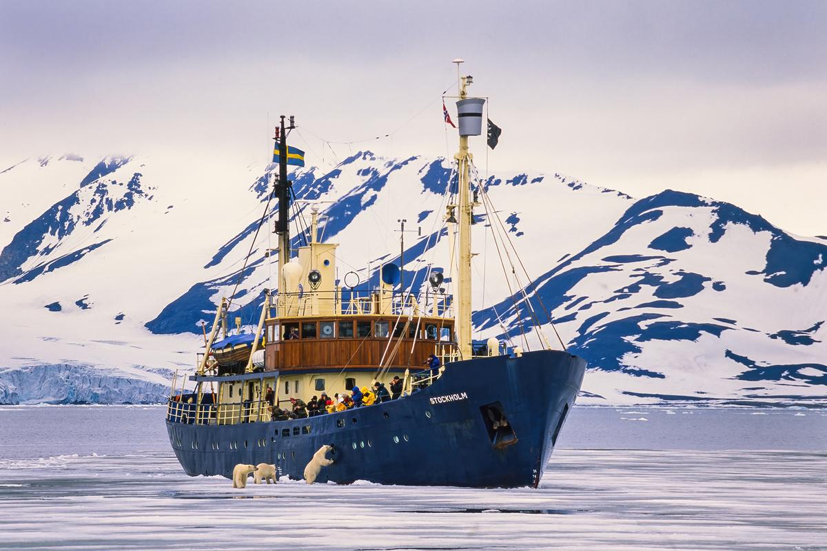 Polar bears approach a tourist ship in Svalbard, Norway. (Shutterstock)