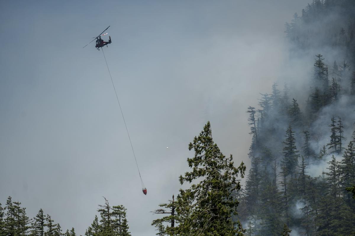 Wanted Man Rescued From BC Wildfire, Then Arrested by RCMP