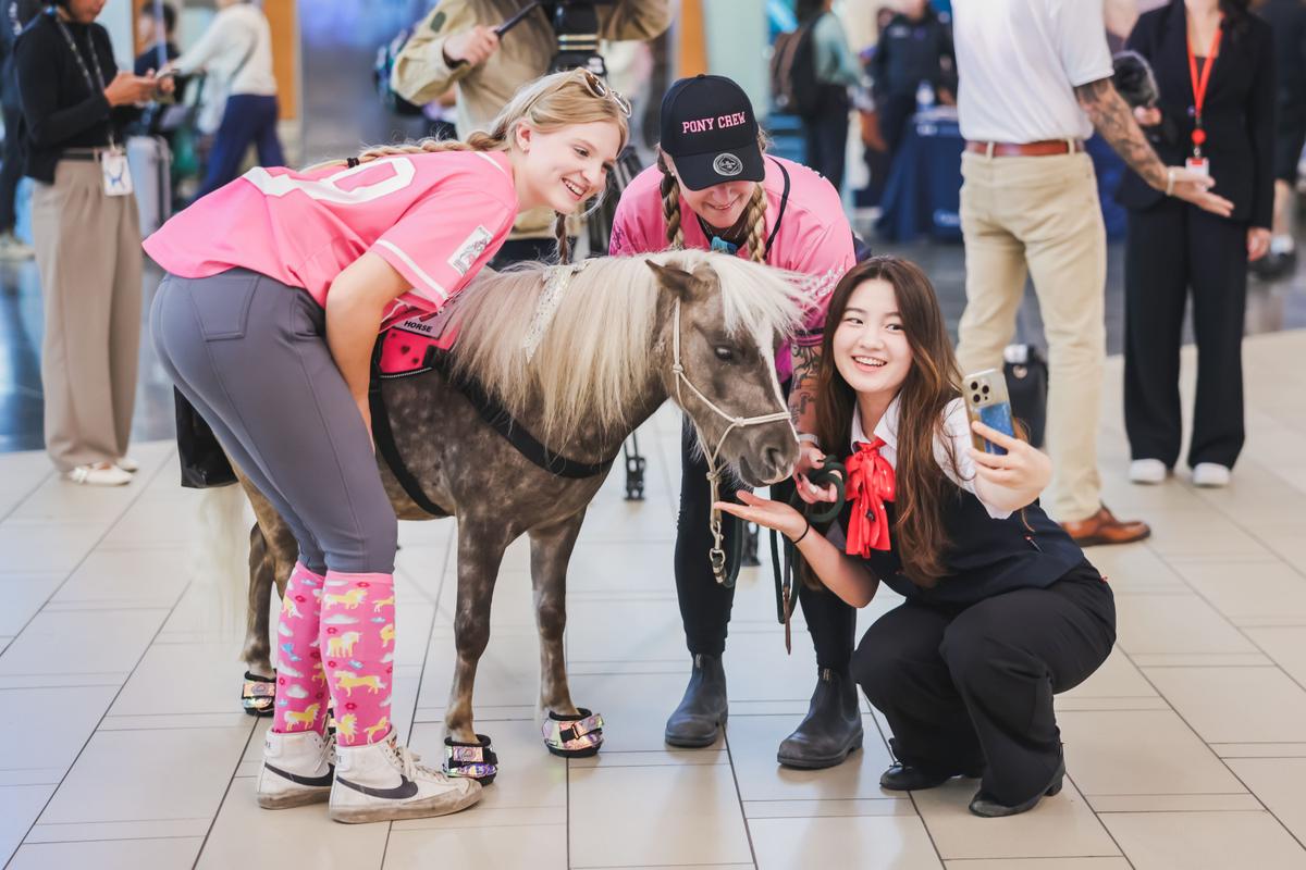 Vancouver Airport Introduces ‘Therapy Ponies’ to Reduce Passenger Anxiety