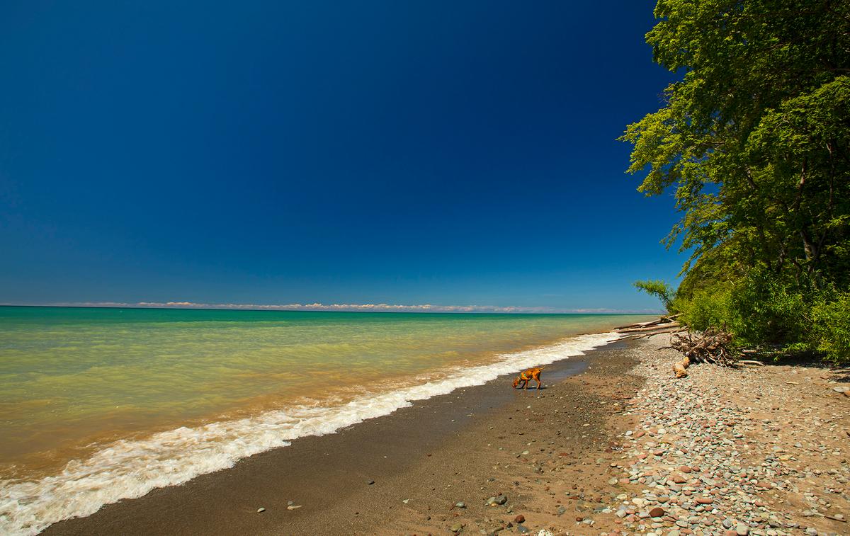 Fair Haven Beach State Park features sandy beaches and scenic bluffs overlooking Lake Ontario in Sterling, N.Y. (Matt Champlin/Getty Images)