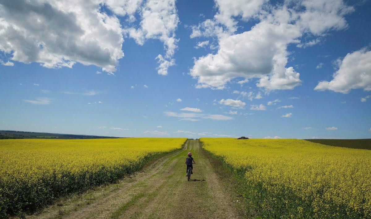 Conrad Black: We Should Sympathize With Canada’s Indigenous People, but Not Yield to Radicals