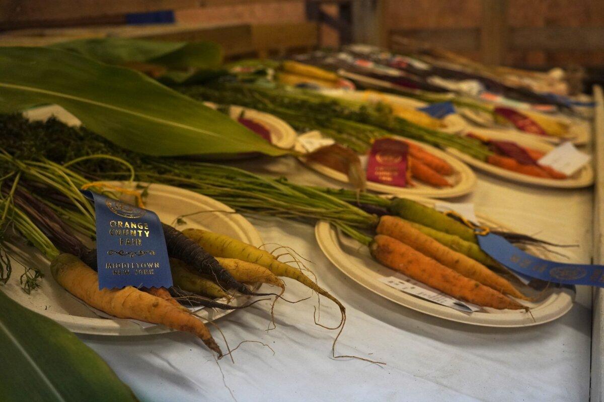 Prized vegetables at the Orange County Agricultural Society exhibit at the Orange County Fair in Middletown, N.Y., on July 27, 2025. (Oliver Mantyk/Epoch Times)