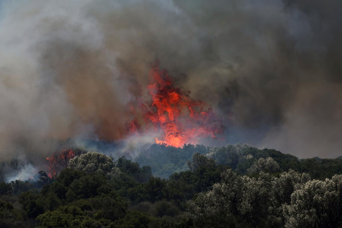 Wildfire in Greece Prompts Evacuation While Firefighters Tackle Blazes in Turkey and Syria