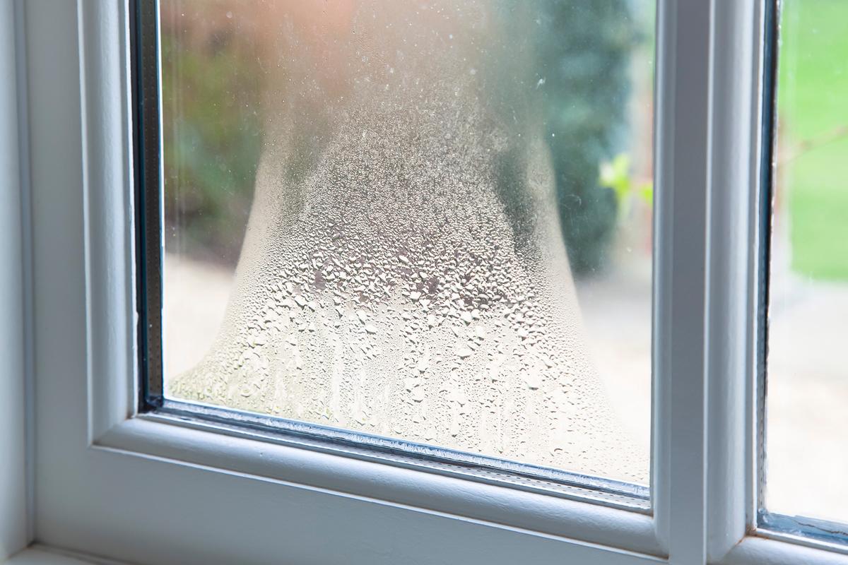 Windows lose efficiency over time because of wear, moisture, and installation quality. (Paul Maguire/Shutterstock)