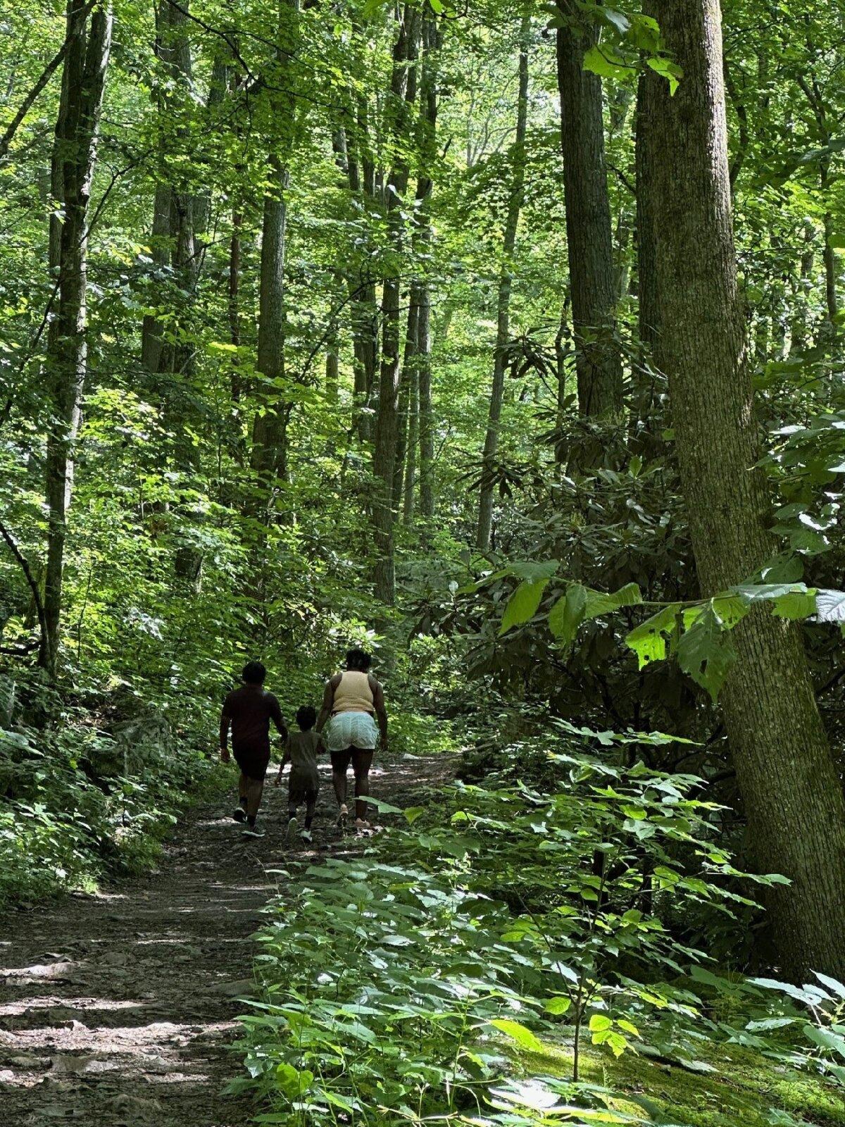 Hikers enjoy the Cascades National Recreation Trail in the George Washington and Jefferson National Forests near Pembroke, Virginia. (Photo courtesy of Candyce H. Stapen)