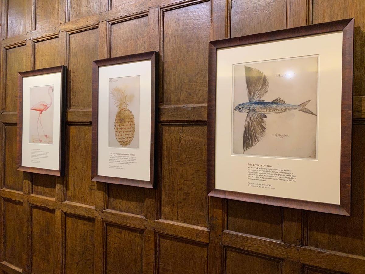 Copies of John White’s drawings and watercolors from his Roanoke voyages are located inside the visitor’s center of the Fort Raleigh National Historic Site. The originals are found at the British Museum. (Courtesy of Lynn Topel)