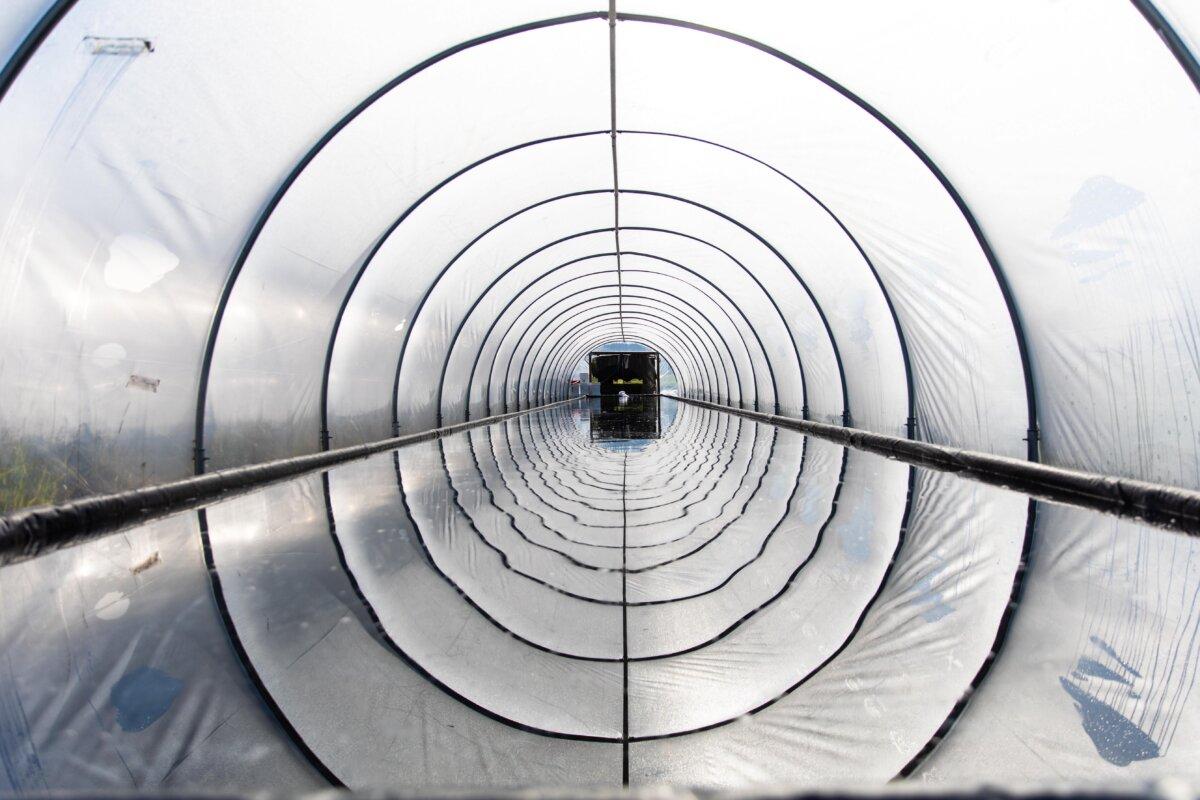 A sea salt evaporation greenhouse. (Lavie Photography)