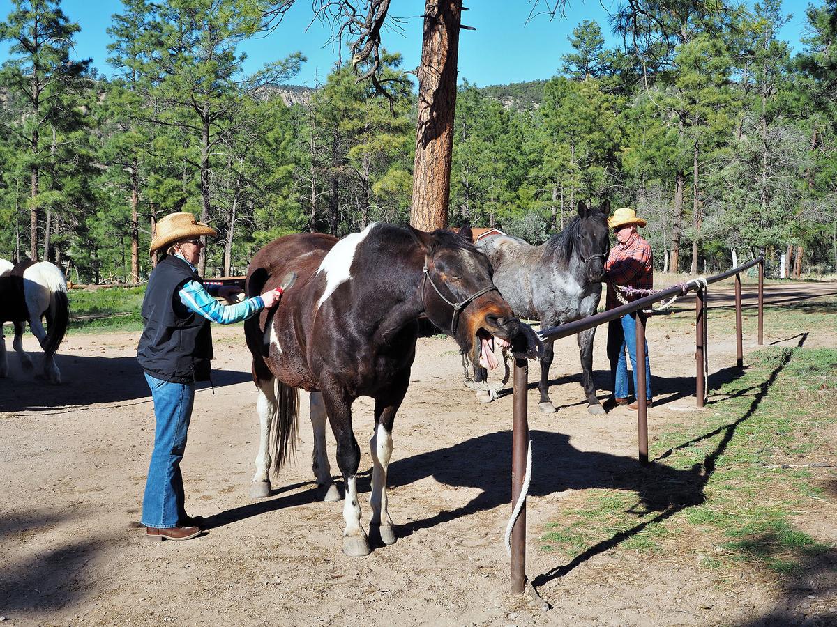 The weather is temperate year-round at New Mexico's Geronimo Trail Guest Ranch. (Courtesy of Geronimo Trail Guest Ranch)