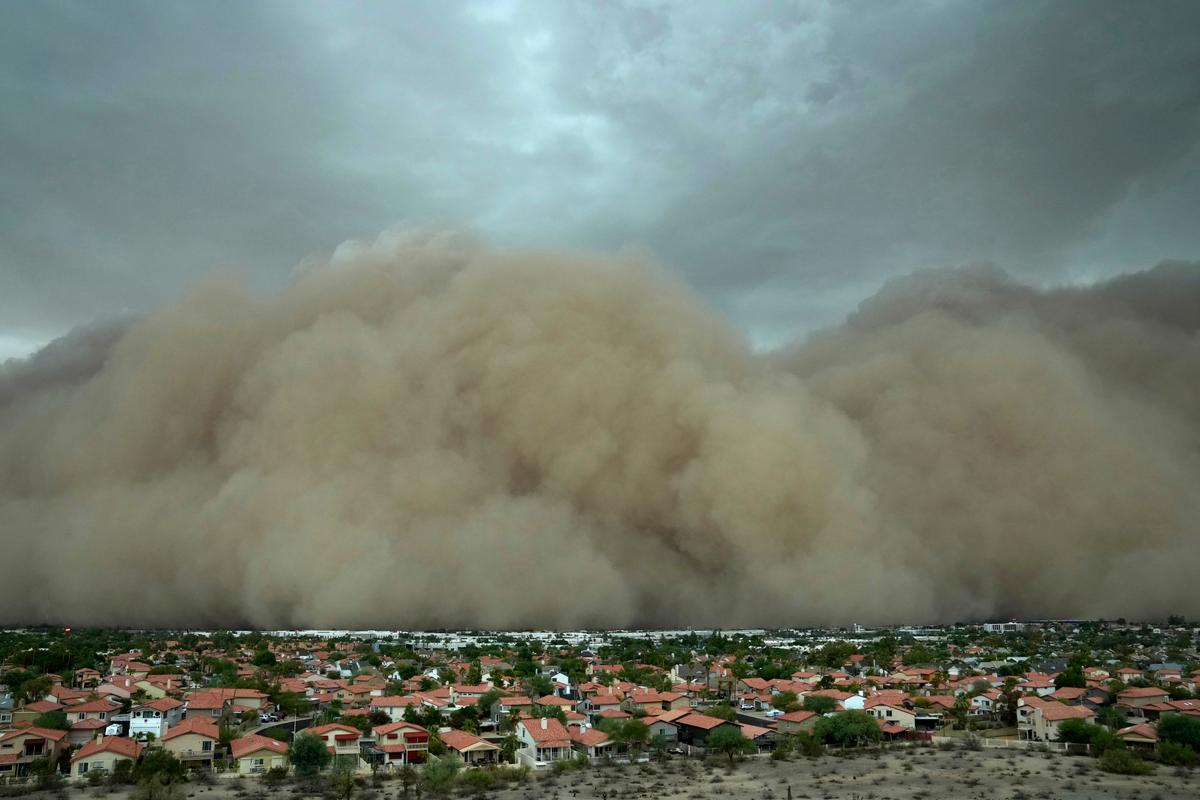 After Fearsome Dust Storm Rips Phoenix Area, Trees Cleaned up and Power Restored