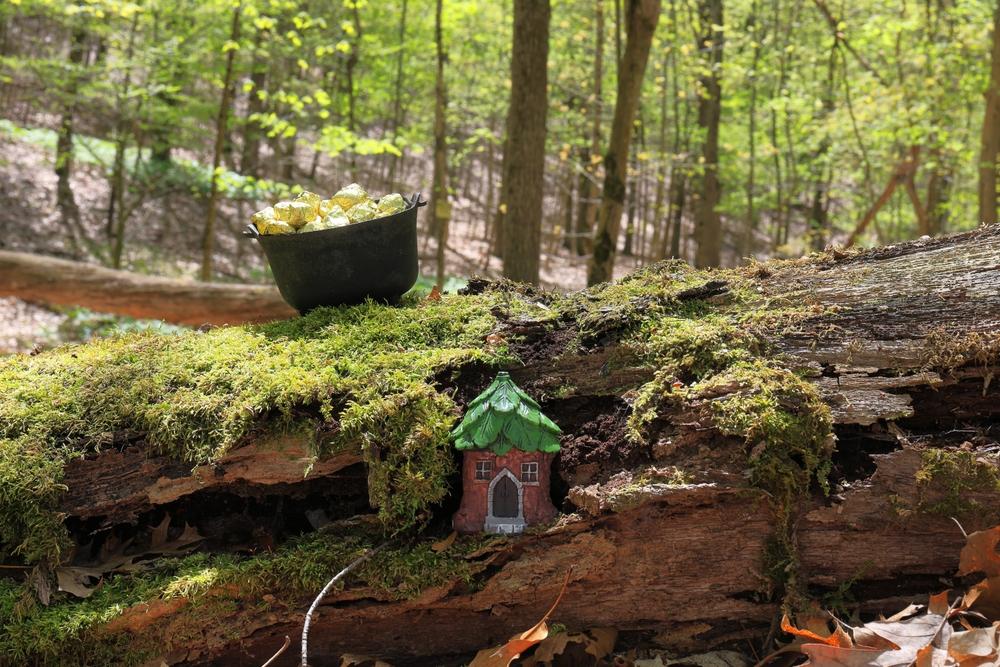 In Alabama, a leprechaun may just be hiding in a tree. (<a href="https://www.shutterstock.com/g/Hike+Kayak+Fish">Hike Kayak Fish</a>/<a href="https://www.shutterstock.com/image-photo/leprechauns-pot-gold-on-moss-covered-2627169871">Shutterstock</a>)