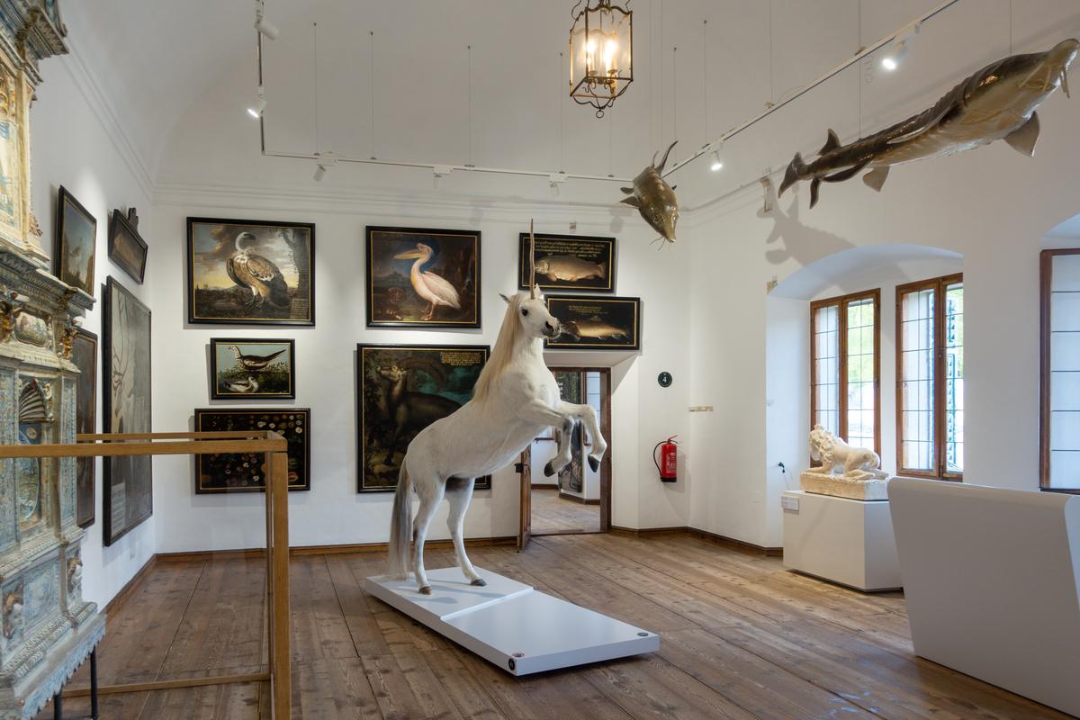 The former Hellbrunn dining hall is now converted into a "cabinet of curiosities" that features animal and plant paintings, taxidermy, and mythical beasts. During the 17th century, Europeans became increasingly interested in scientific study, folklore, and fantasy. A rearing taxidermy "unicorn" is featured alongside incredible nature paintings from the Salzburg court. (<a href="https://commons.wikimedia.org/wiki/File:Hellbrunn_Palace_(50408805571).jpg" target="_blank" rel="nofollow noopener">Kent Wang</a>/<a href="https://creativecommons.org/licenses/by-sa/2.0/deed.en" target="_blank" rel="nofollow noopener">CC BY-SA 2.0</a>)