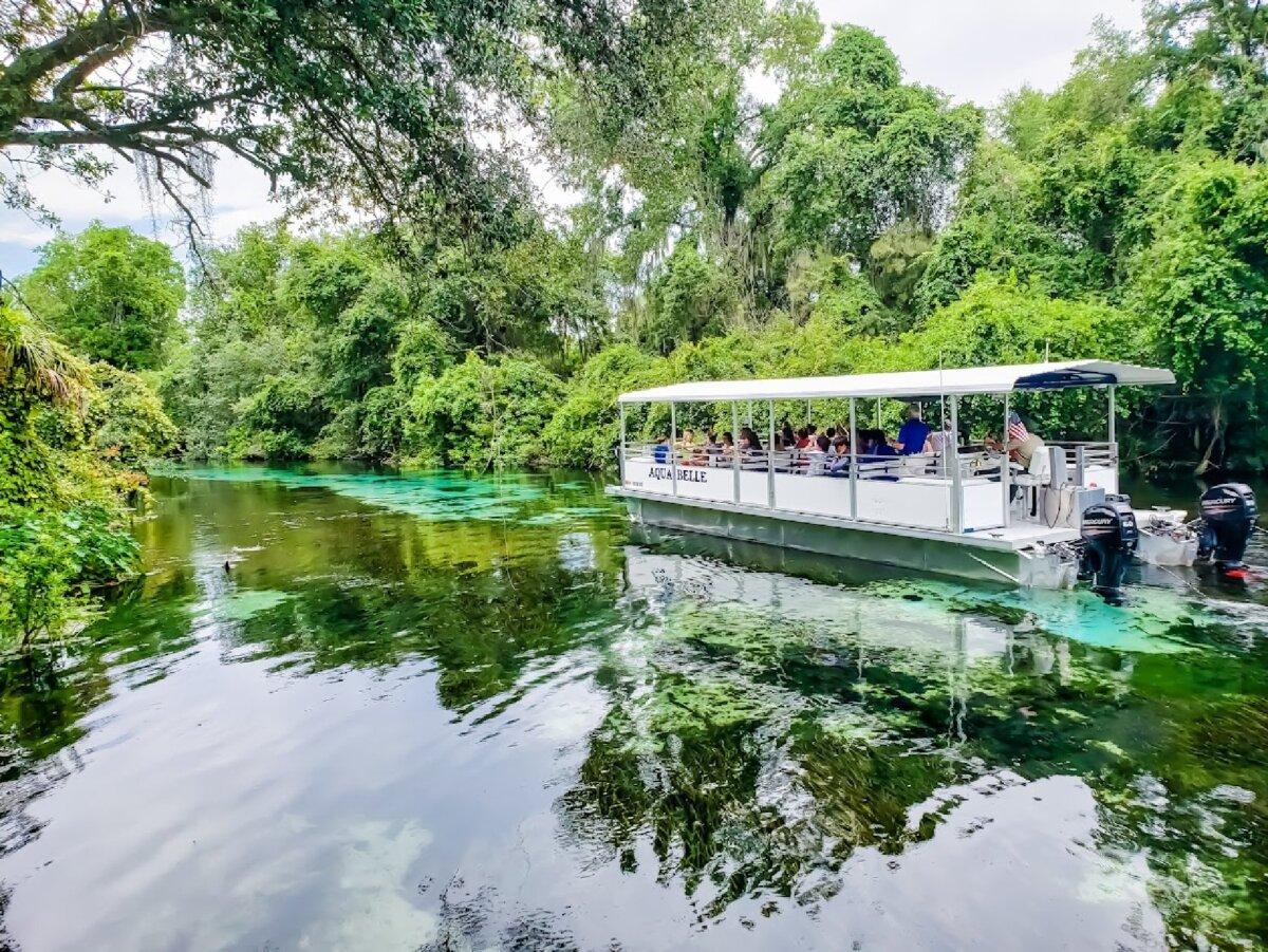 Seeing and swimming with manatees is a favorite activity of visitors to Florida. (AltitudeUS/Dreamstime)