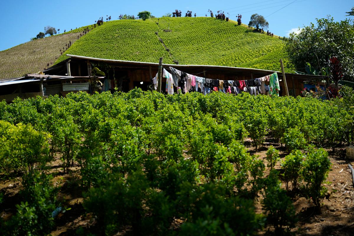 US Adds Colombia to List of Countries Failing to Combat Drug Trafficking