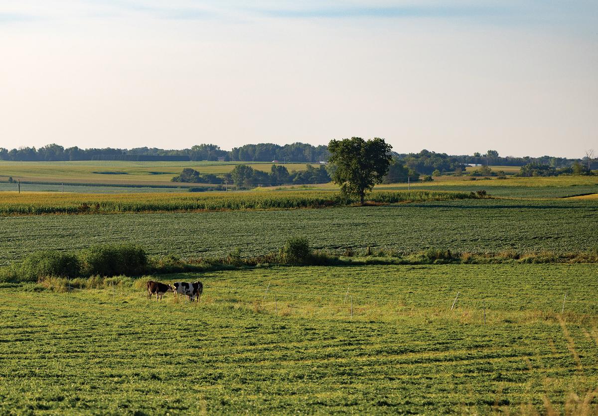 Eating regionally and seasonally is one way to support local farmers. (Courtesy of RuthAnn Zimmerman)