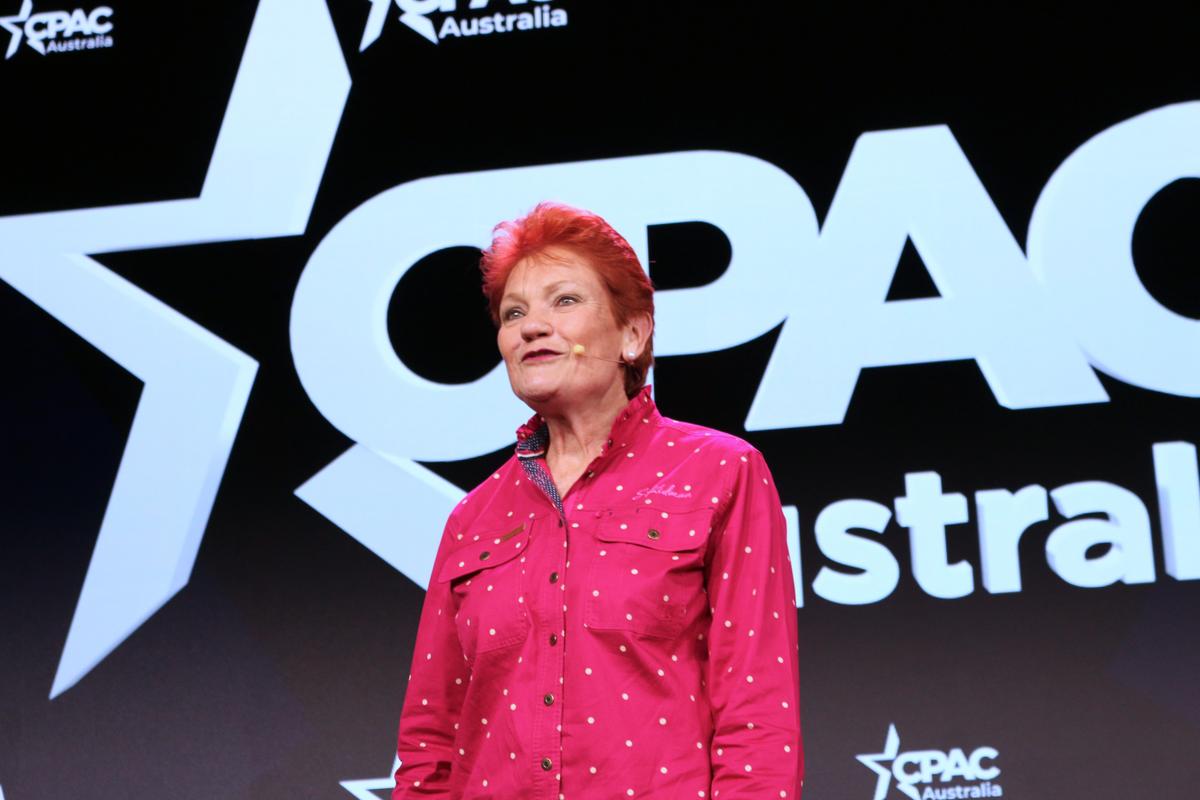 Hanson, Labor MPs Call for NDIS Eligibility to Be Tightened Amid Surging Cost