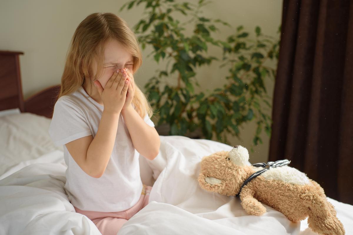 How to Kill Dust Mites Inside Your Home—Without Breaking the Bank