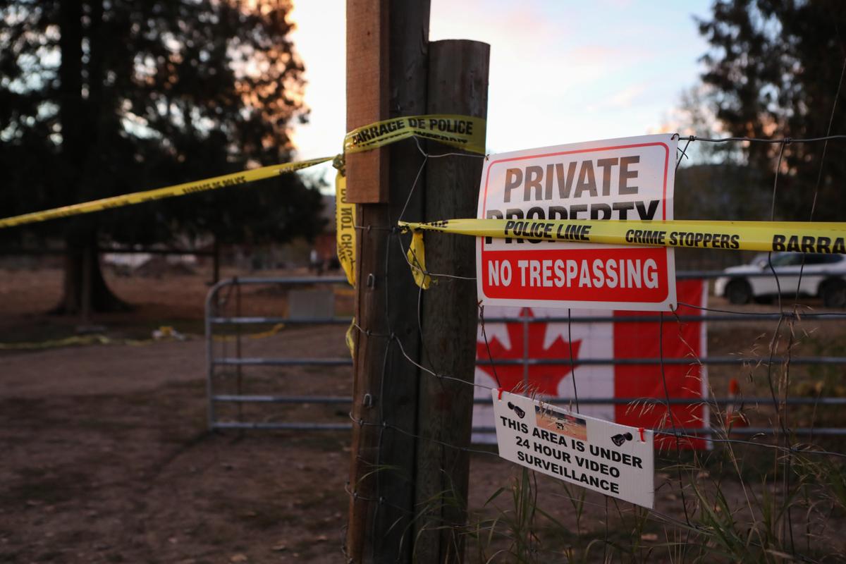 Nearly $7M Spent on BC Ostrich Cull, Government Data Shows