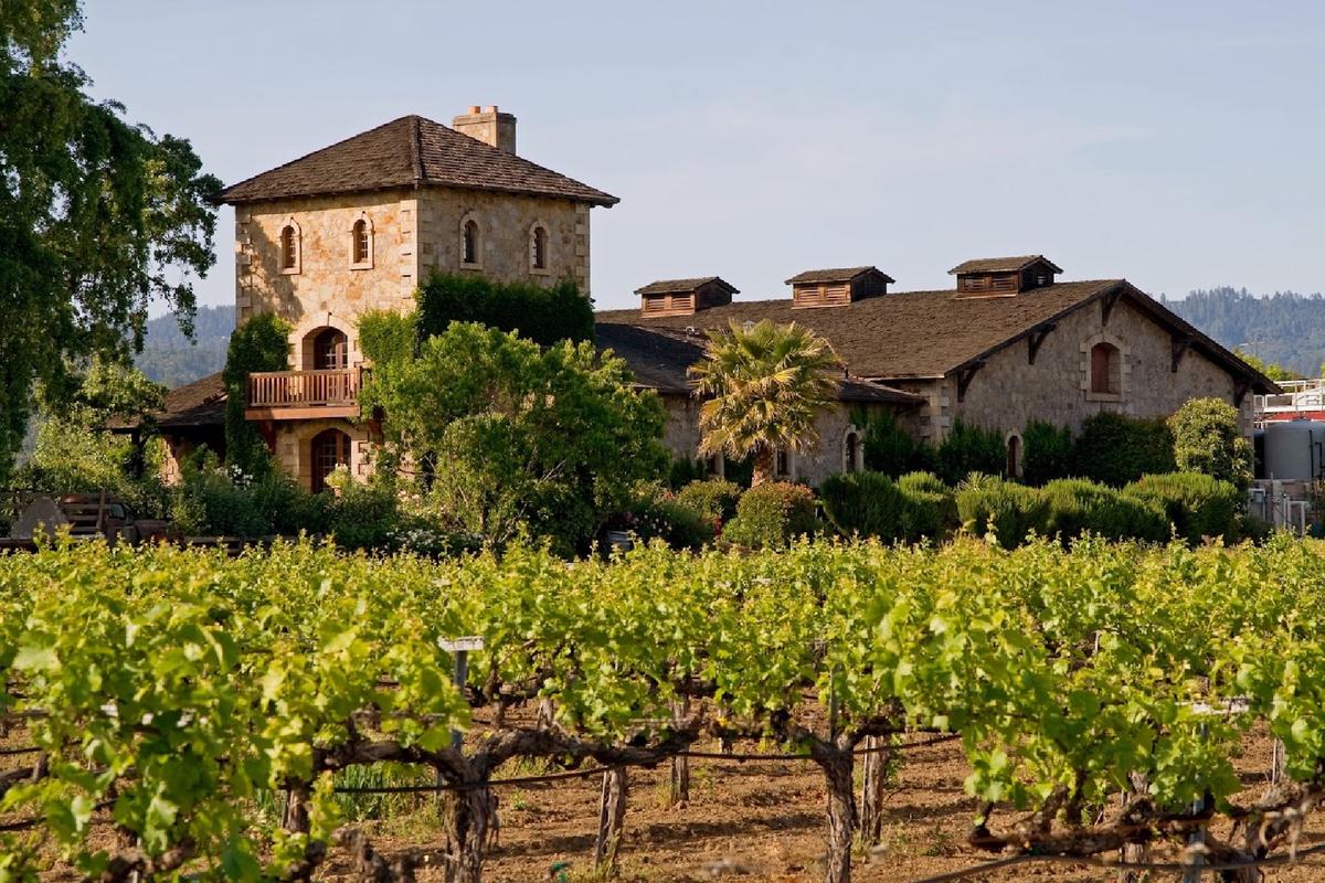 Discover Good Wines Wherever You Are