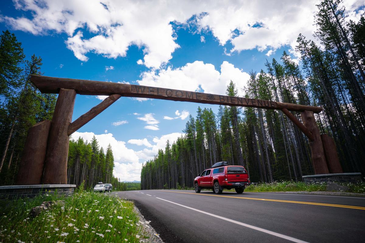 Grizzly Bear Warning Issued for Popular Banff Hiking and Camping Area
