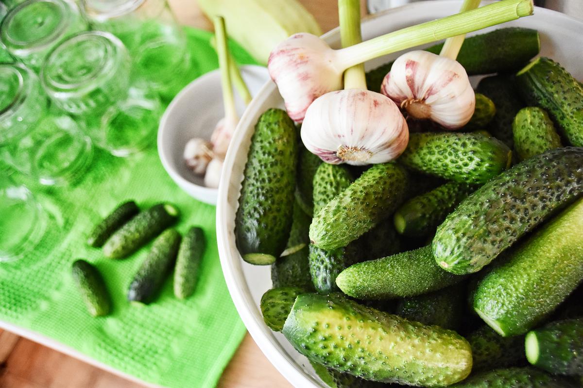 Once preserved, pickled cucumbers can be stored for months as a ready supply of on-hand crunchy snacks. (Liga Cerina/Shutterstock)