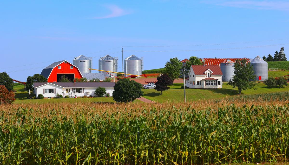 RCMP Says Will Review Allegations of Chinese Interference in PEI