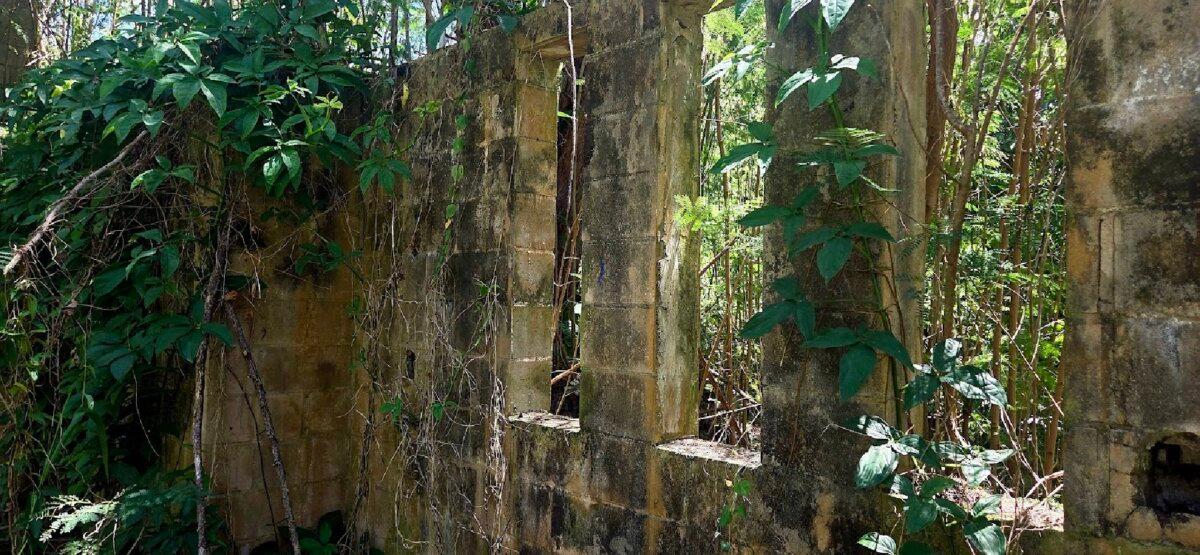 Today only the ruins of the former Hanalei Bay Club Med remain on the island of Kaua'i, Hawaii. (Photo courtesy of Jim Farber)
