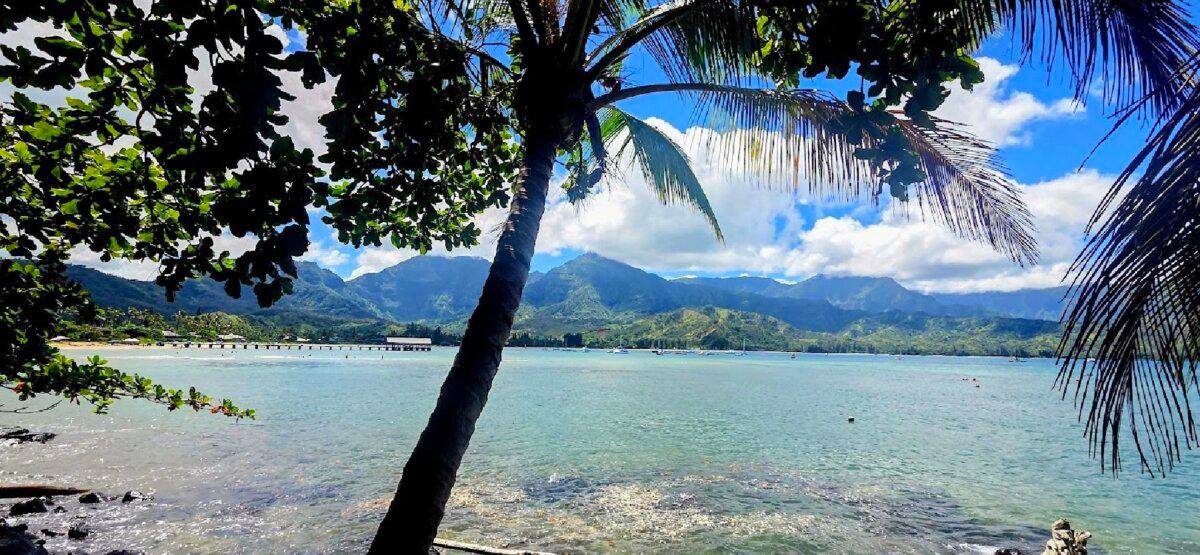 The view from the ruins of the Hanalei Bay Club Med is, in fact, Hanalei Bay. (Photo courtesy of Jim Farber)