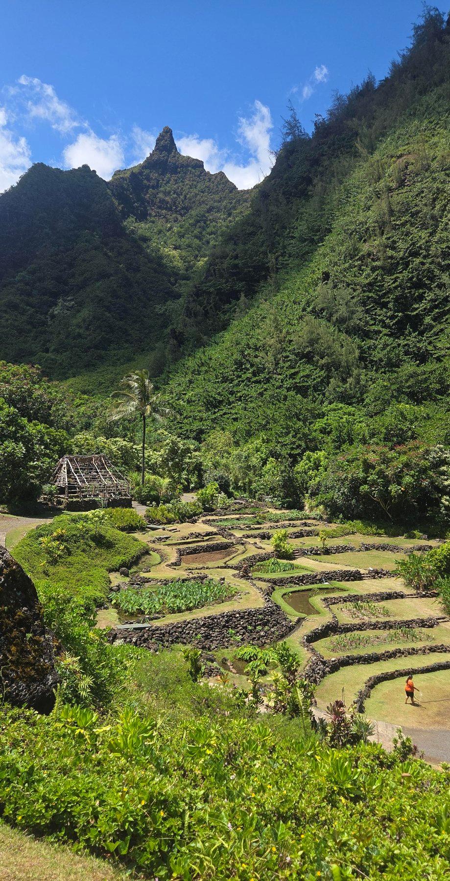 For at least 1,500 years, the Limahuli Valley on the island of Kaua'i has been home to Hawaiians. (Jim Farber)