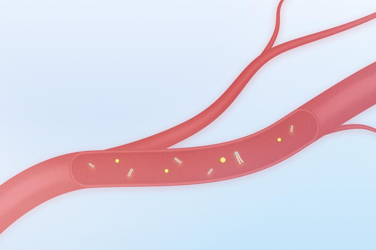 If You’re Always Tired, Your Blood—and Diet—Might Be to Blame