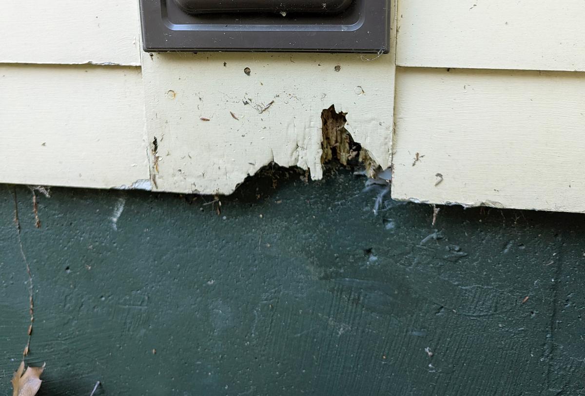 Ask the Builder: Repairing Wood Rot