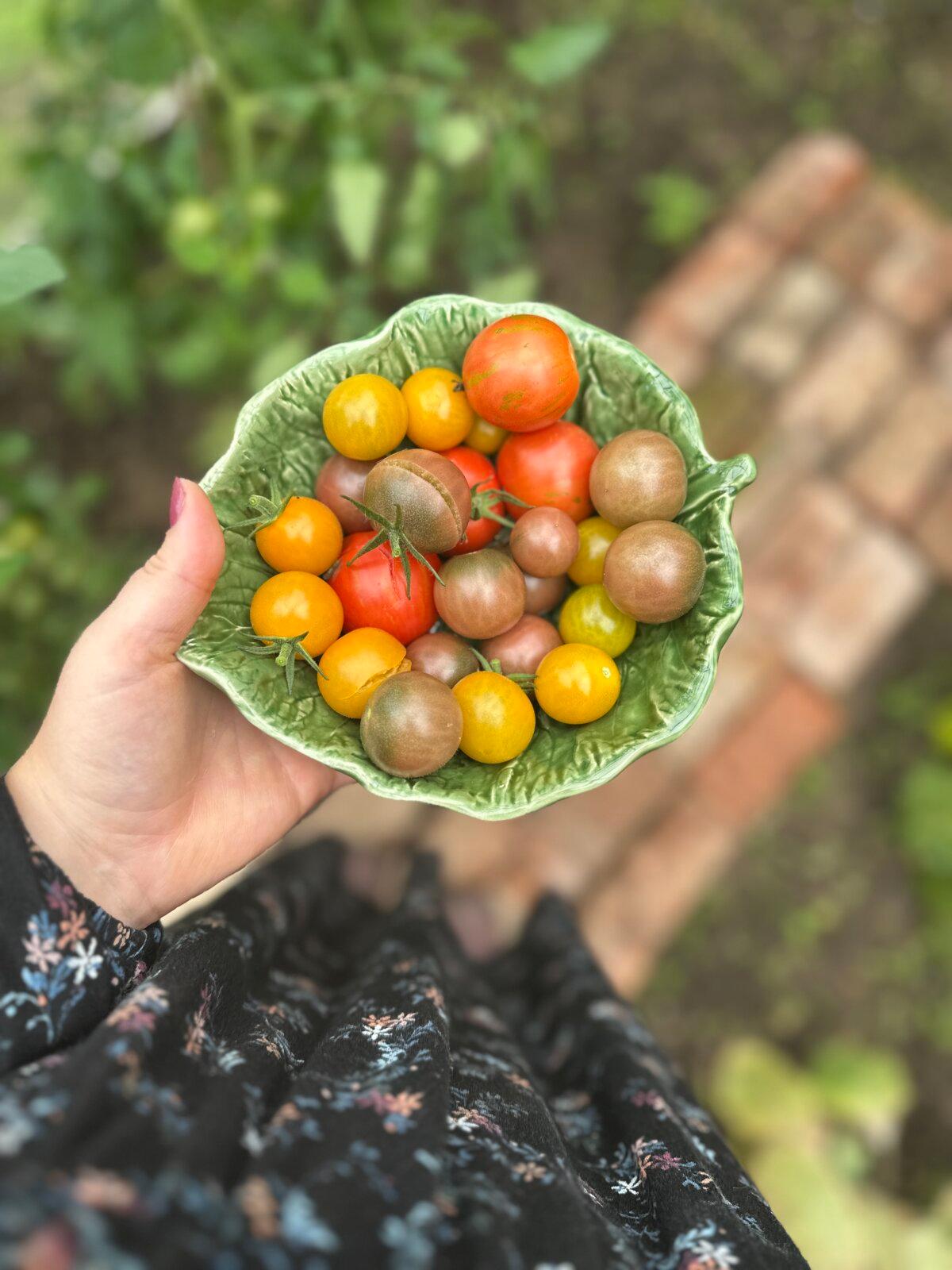 Fruit of her hands: Bearn finds joy in growing her own produce. (Courtesy of Rachel Bearn)