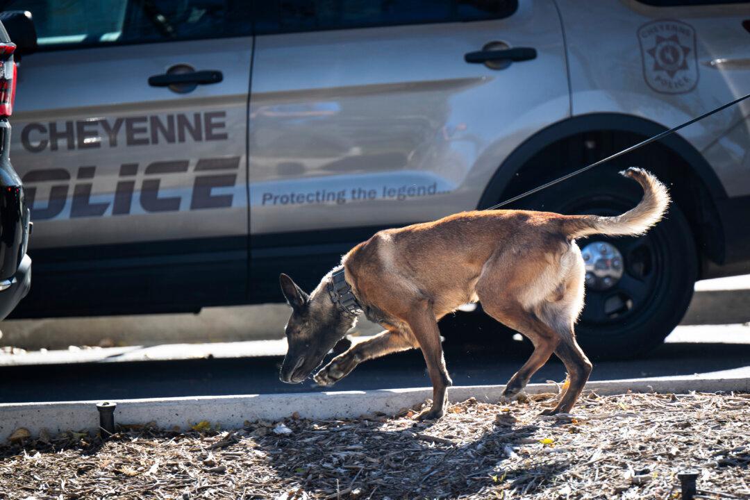 Arizona Man’s Arrest Follows Probe Into Alleged Bomb Plot