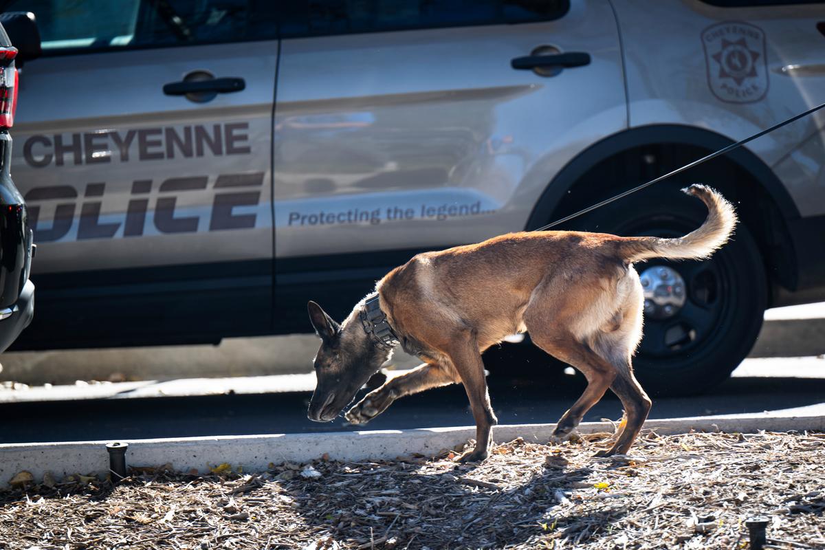 Arizona Man’s Arrest Follows Probe Into Alleged Bomb Plot