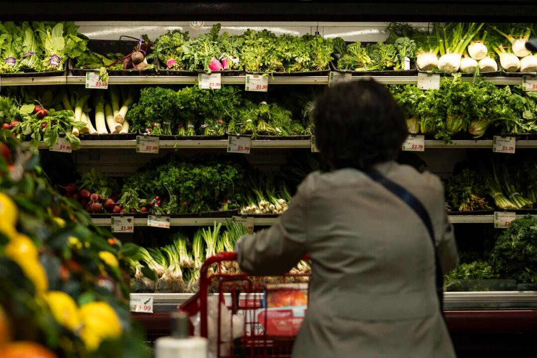Mothers Need Better Food, Not Just More Aid