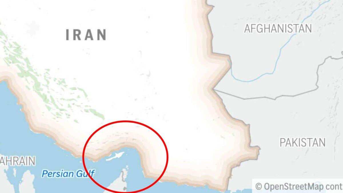 A locator map for Iran and the Strait of Hormuz, marked in a red circle. (NTD)