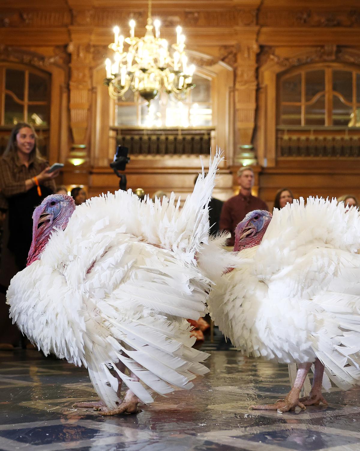 Day in Photos: Thanksgiving Turkeys, Olympic Flame Rehearsal, Explosion in Pakistan