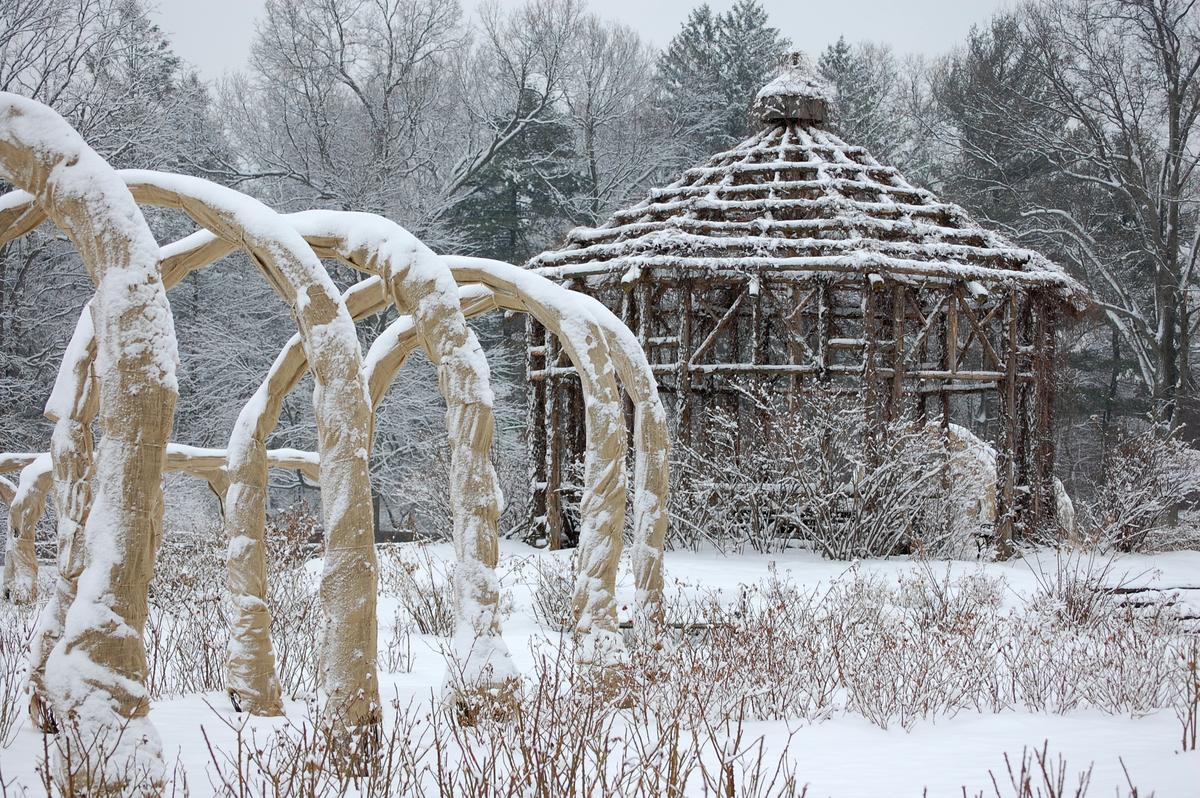 Civilization Takes Root in Winter